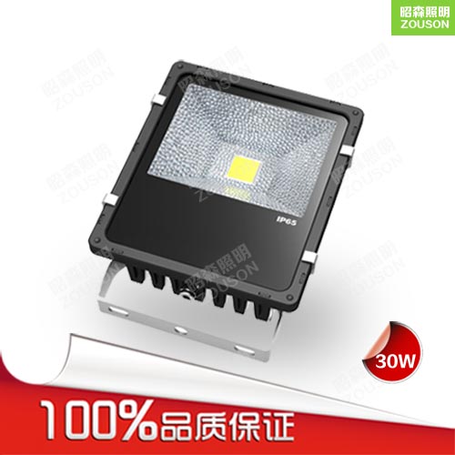 LED泛光燈30W(經(jīng)典款)_隔爆泛光燈