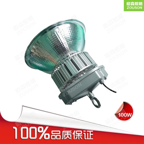 防腐蝕工礦燈_LED工礦燈100w