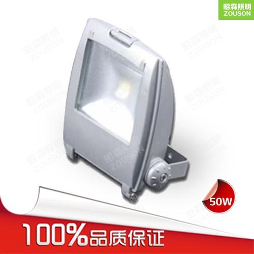 LED防水泛光燈30W